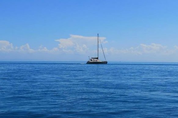 关于什么什么一色的四字成语