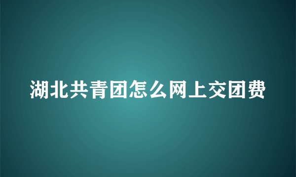 湖北共青团怎么网上交团费