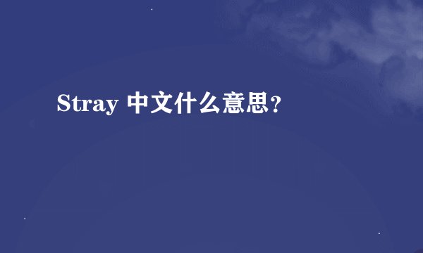 Stray 中文什么意思？