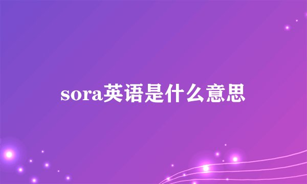 sora英语是什么意思