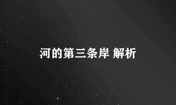 河的第三条岸 解析
