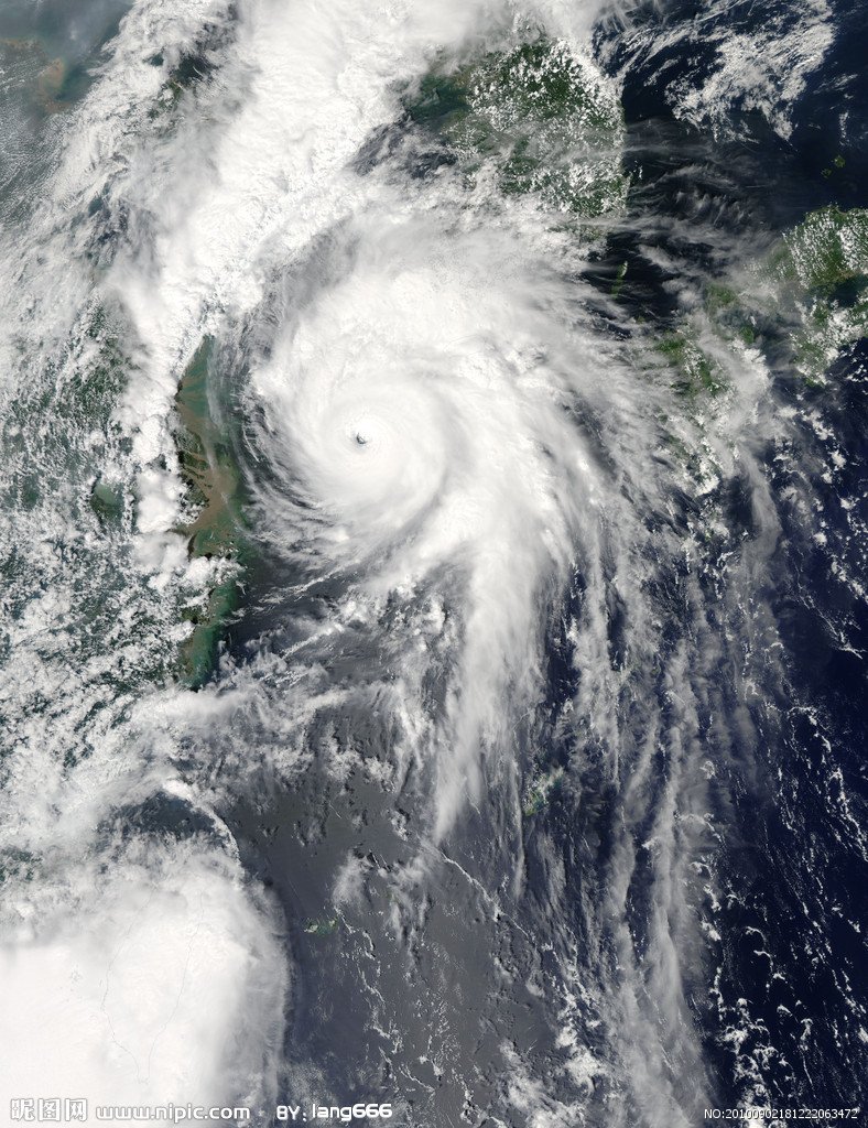 台风圆规登陆海南琼海，大数被连根拔起，这种天气下还能出门吗？