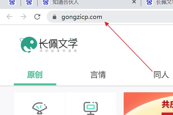 长佩文学论坛的真实地址