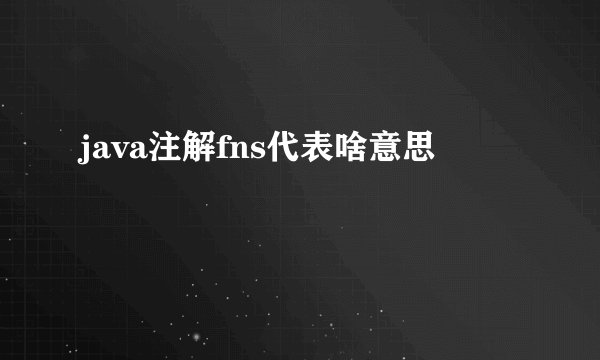 java注解fns代表啥意思