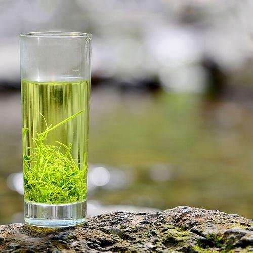 常喝绞股蓝茶好吗？