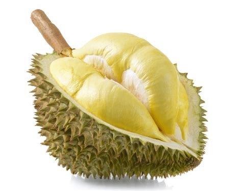 6个读音为liu的字，分别组词