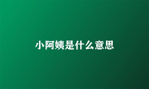 小阿姨是什么意思