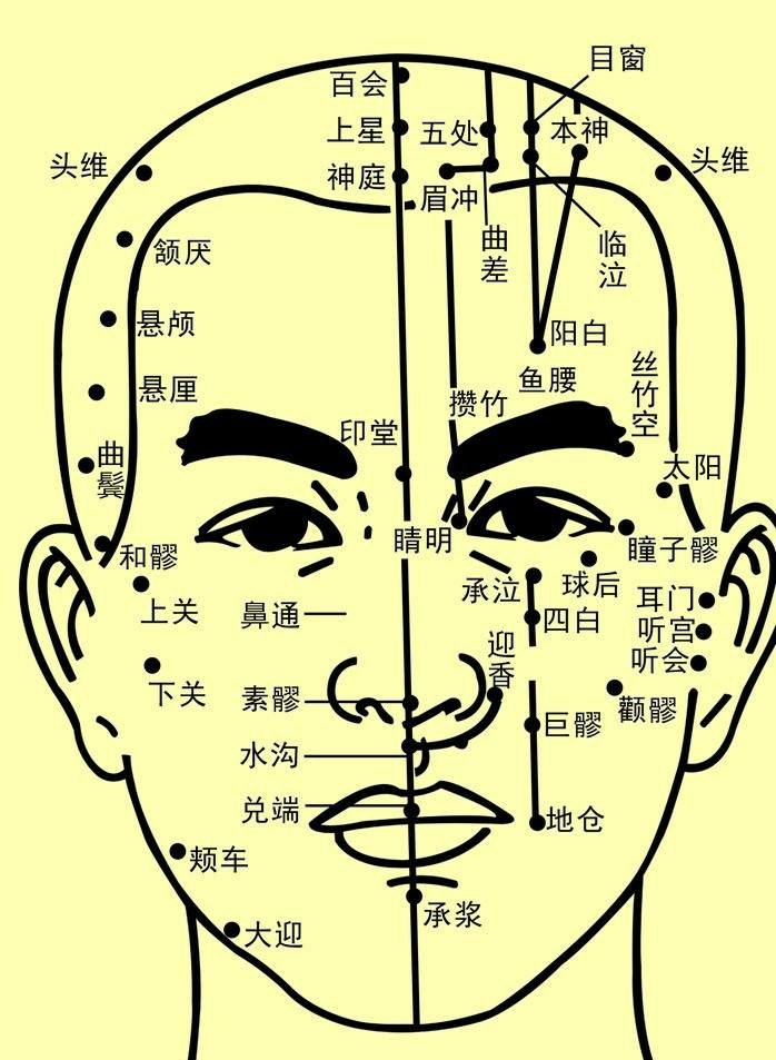面部穴位图