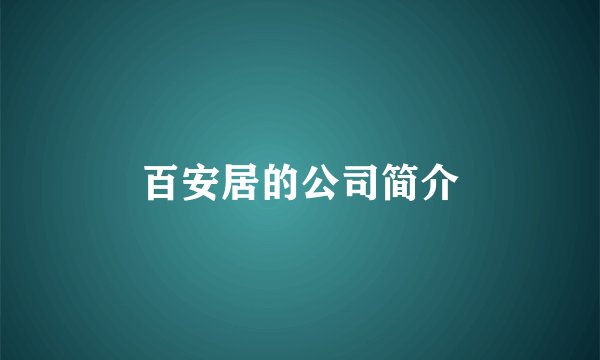 百安居的公司简介