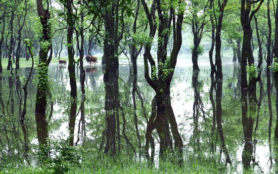 江西省泰和县有几个镇