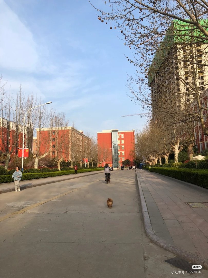 商丘工学院到底好不好，求实话？