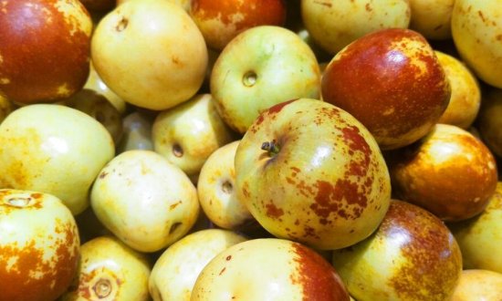 秋天有哪些水果成熟？