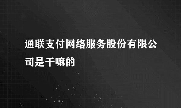 通联支付网络服务股份有限公司是干嘛的