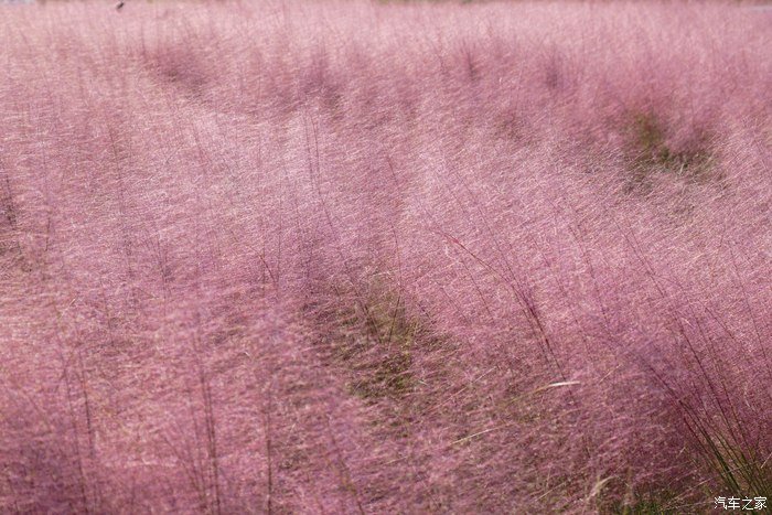共享美好时光，媳妇来当车模记录下与瑞虎8PLUS的甜蜜瞬间