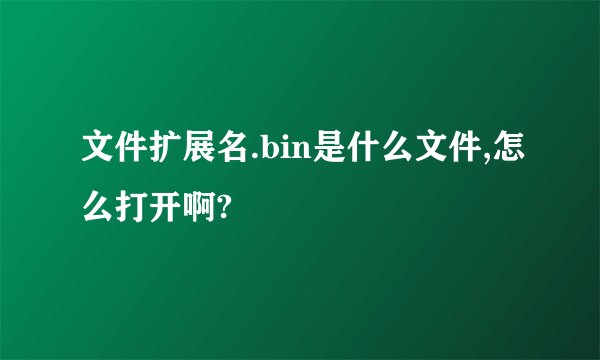 文件扩展名.bin是什么文件,怎么打开啊?