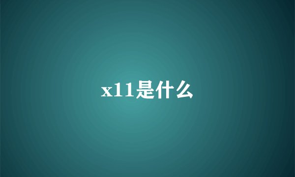 x11是什么