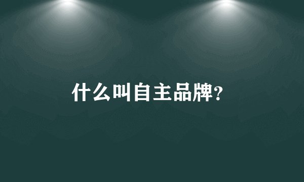 什么叫自主品牌？