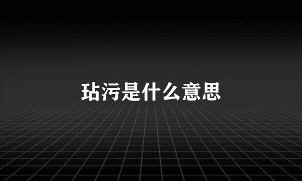玷污是什么意思