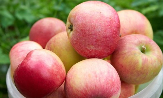 秋天有哪些水果成熟？