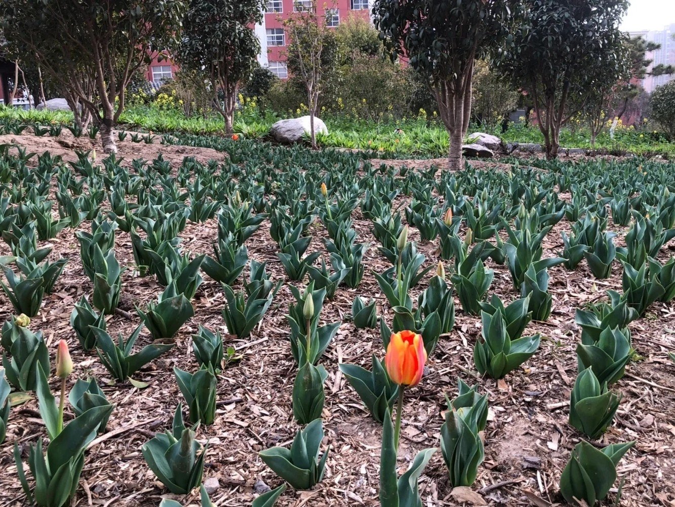 商丘工学院到底好不好，求实话？