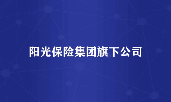 阳光保险集团旗下公司