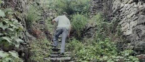 二舅视频涉内容虚构被撤销推荐，这是怎么回事？真实性究竟如何？