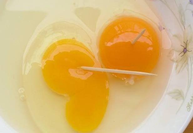 笨鸡蛋和普通鸡蛋的区别