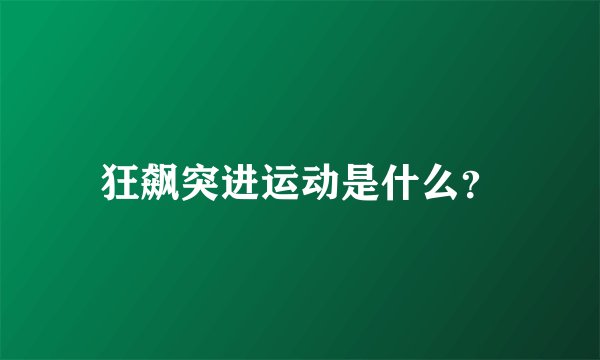 狂飙突进运动是什么？