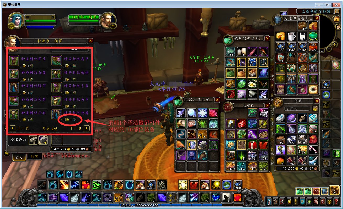 wow 圣洁徽记去哪换啊