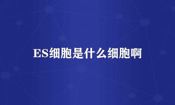 ES细胞是什么细胞啊