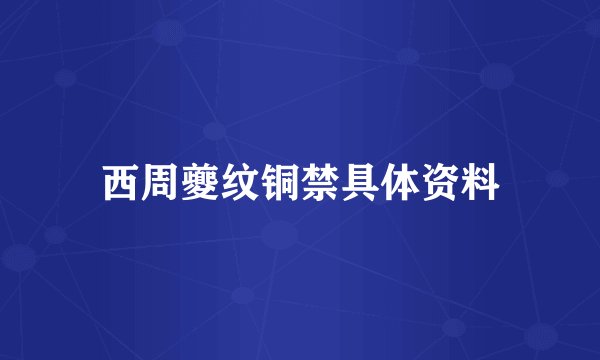 西周夔纹铜禁具体资料