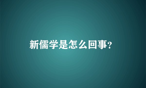 新儒学是怎么回事？