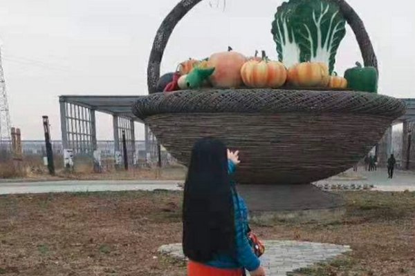 玩失踪?《七彩飘香》停播以后王芃芃去了哪里?