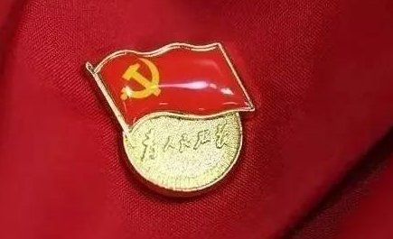 为什么入党简单回答？