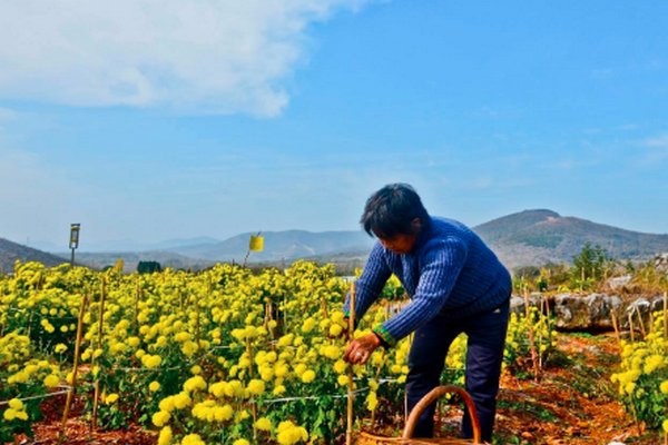 玩失踪?《七彩飘香》停播以后王芃芃去了哪里?