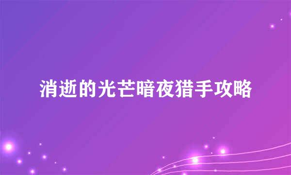 消逝的光芒暗夜猎手攻略