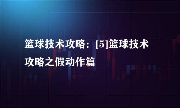 篮球技术攻略：[5]篮球技术攻略之假动作篇
