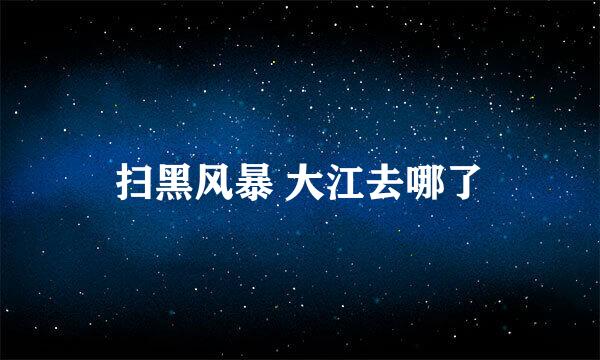 扫黑风暴 大江去哪了
