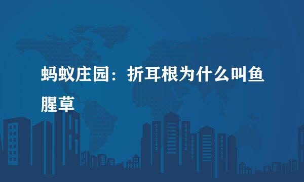 蚂蚁庄园：折耳根为什么叫鱼腥草
