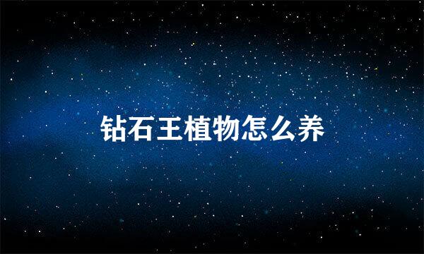 钻石王植物怎么养