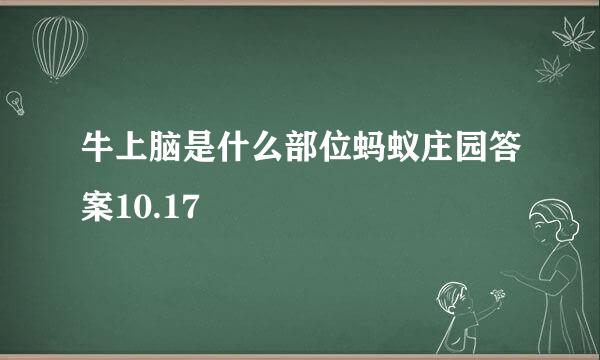 牛上脑是什么部位蚂蚁庄园答案10.17