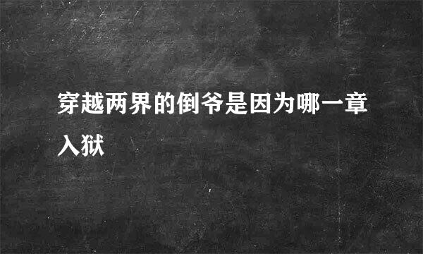 穿越两界的倒爷是因为哪一章入狱