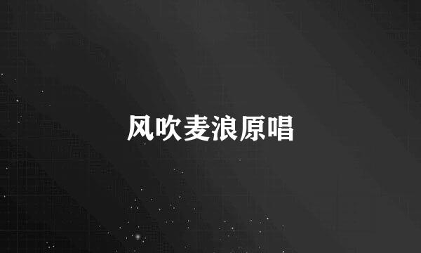 风吹麦浪原唱