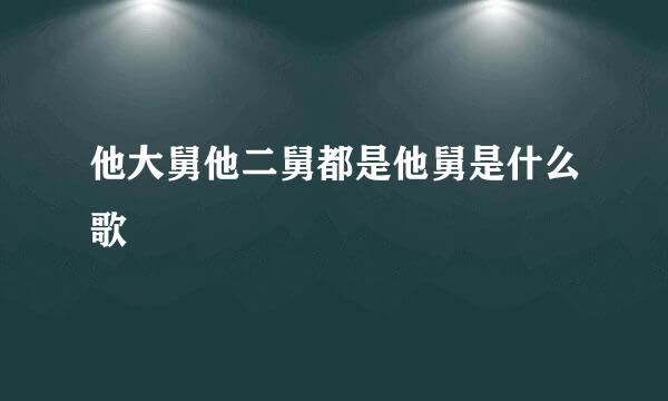 他大舅他二舅都是他舅是什么歌