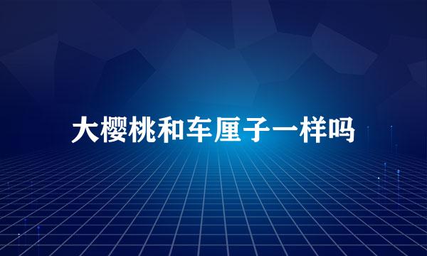大樱桃和车厘子一样吗