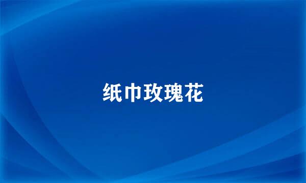 纸巾玫瑰花
