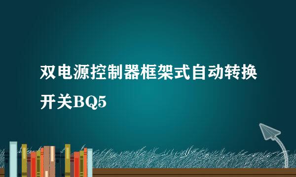 双电源控制器框架式自动转换开关BQ5
