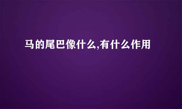 马的尾巴像什么,有什么作用