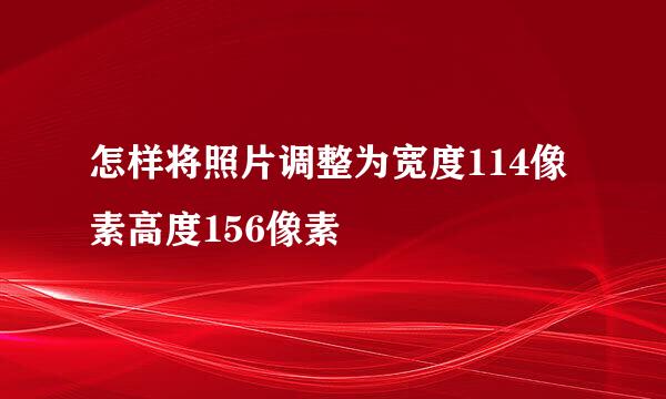 怎样将照片调整为宽度114像素高度156像素