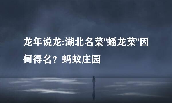 龙年说龙:湖北名菜